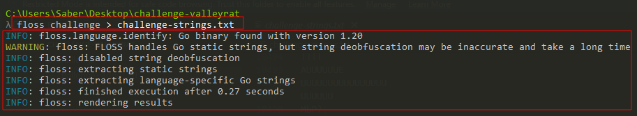 Running floss against the challenge binary