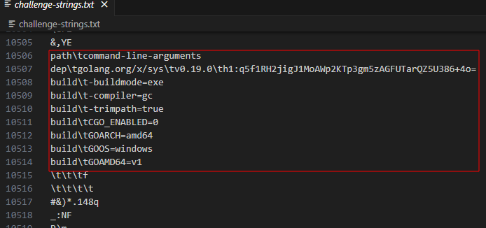Go compiler toolchain strings